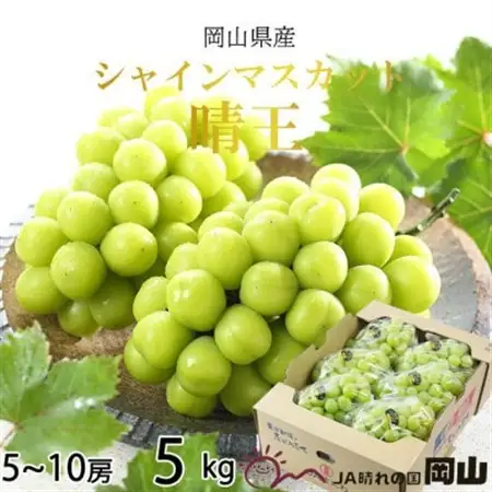 【2026年8月より発送】岡山県産　シャインマスカット　晴王　5kg(5房～10房)【配送不可地域：離島・北海道・沖縄県】【1366042】