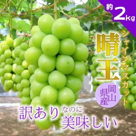 【2026年発送】訳あり!シャインマスカット晴王☆約2kg!9月上旬～順次発送【人気の岡山産ぶどう】【配送不可地域：離島】【1378276】
