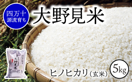 【 四万十源流 育ち 】特別栽培 大野見米 ヒノヒカリ 5kg ( 玄米 ) ご飯 米 お米 ﾋﾉﾋｶﾘ 四万十