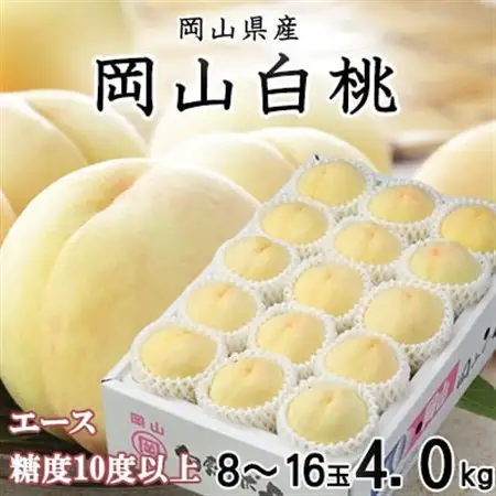【先行受付】岡山白桃 エース 8～16玉 4.0kg 岡山県産【配送不可地域：離島・北海道・沖縄県】【1424434】