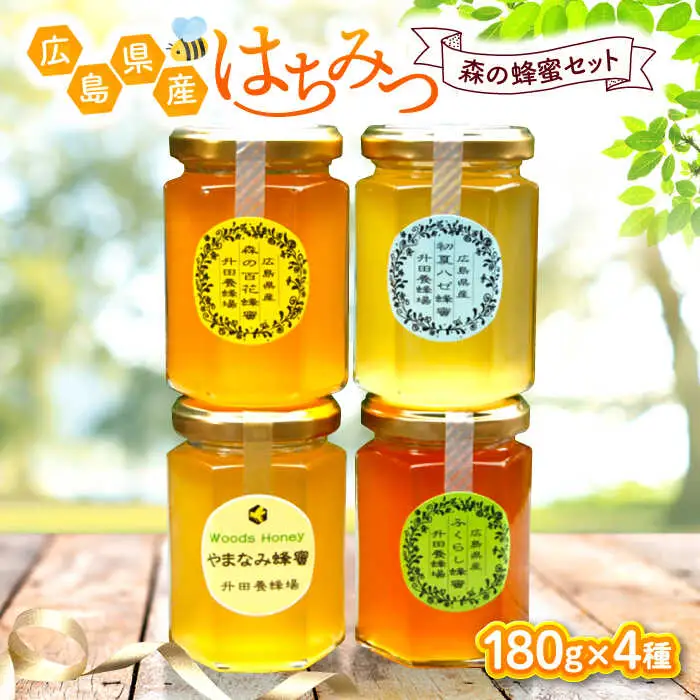はちみつ 森の蜂蜜セット[APAE004] はちみつ