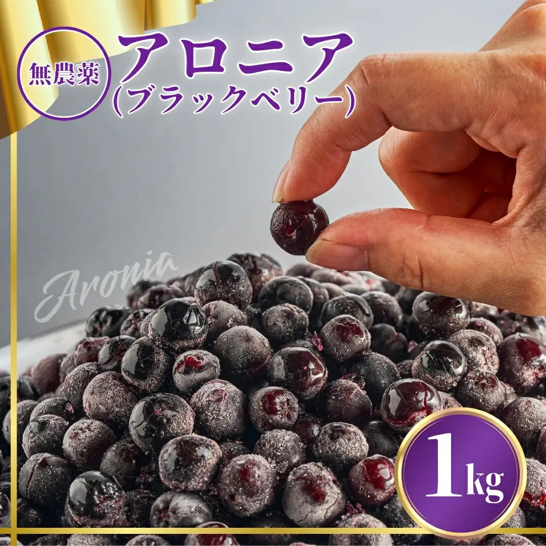アロニア（ブラックベリー）1kg アロニア JA小松市 dk002n00