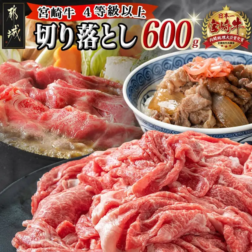 宮崎牛切り落とし600g〔AA-89-006-600g〕_(都城市) 国産黒毛和牛 ブランド牛 牛肉 宮崎牛切落とし肉 300g×2パック 計600グラム 牛丼や炒め物などに 万能 冷凍 国産 九州産 宮崎県産 都城産