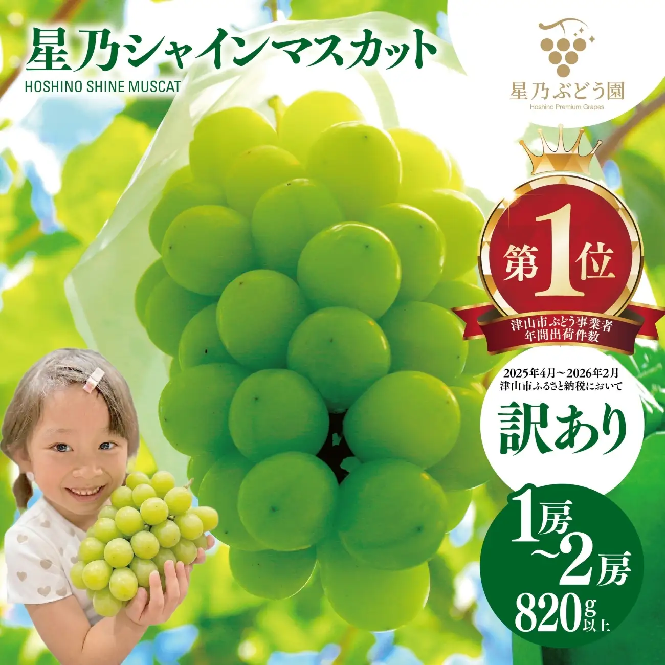 先行受付【訳あり】星乃シャインマスカット 820g 1房～2房【配送不可地域：離島・北海道・沖縄県】【1554824】