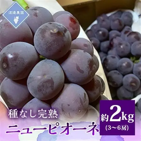 【先行予約 2026年発送】岡山県産　種なし完熟 ニューピオーネ　3房～6房(合計約2kg)【配送不可地域：離島】【1562279】