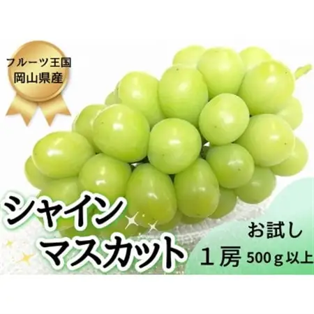 【2026年先行受付】お試しフルーツ王国岡山シャインマスカット500g以上!　朝採れぶどう1房【配送不可地域：離島】【1566944】