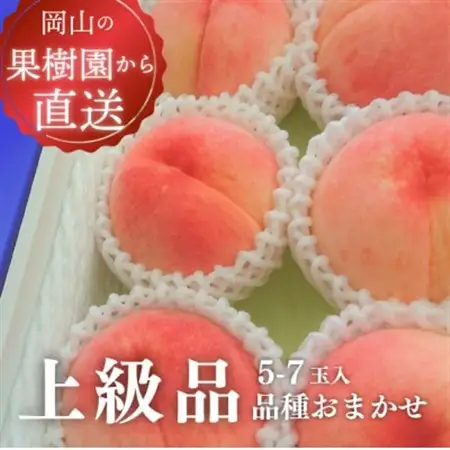 旬採り桃(品種おまかせ) 上級品/5-7玉 (岡山県産) 珍しい品種の桃をモモ好きのあなたに!【配送不可地域：離島】【1571589】