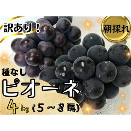 【2027年先行受付】訳あり岡山県産ピオーネ4kg【配送不可地域：離島】【1571848】
