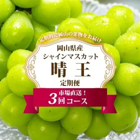 【発送月固定定期便】岡山県産 シャインマスカット『晴王』定期便全3回【配送不可地域：離島・北海道・沖縄県】【4007311】
