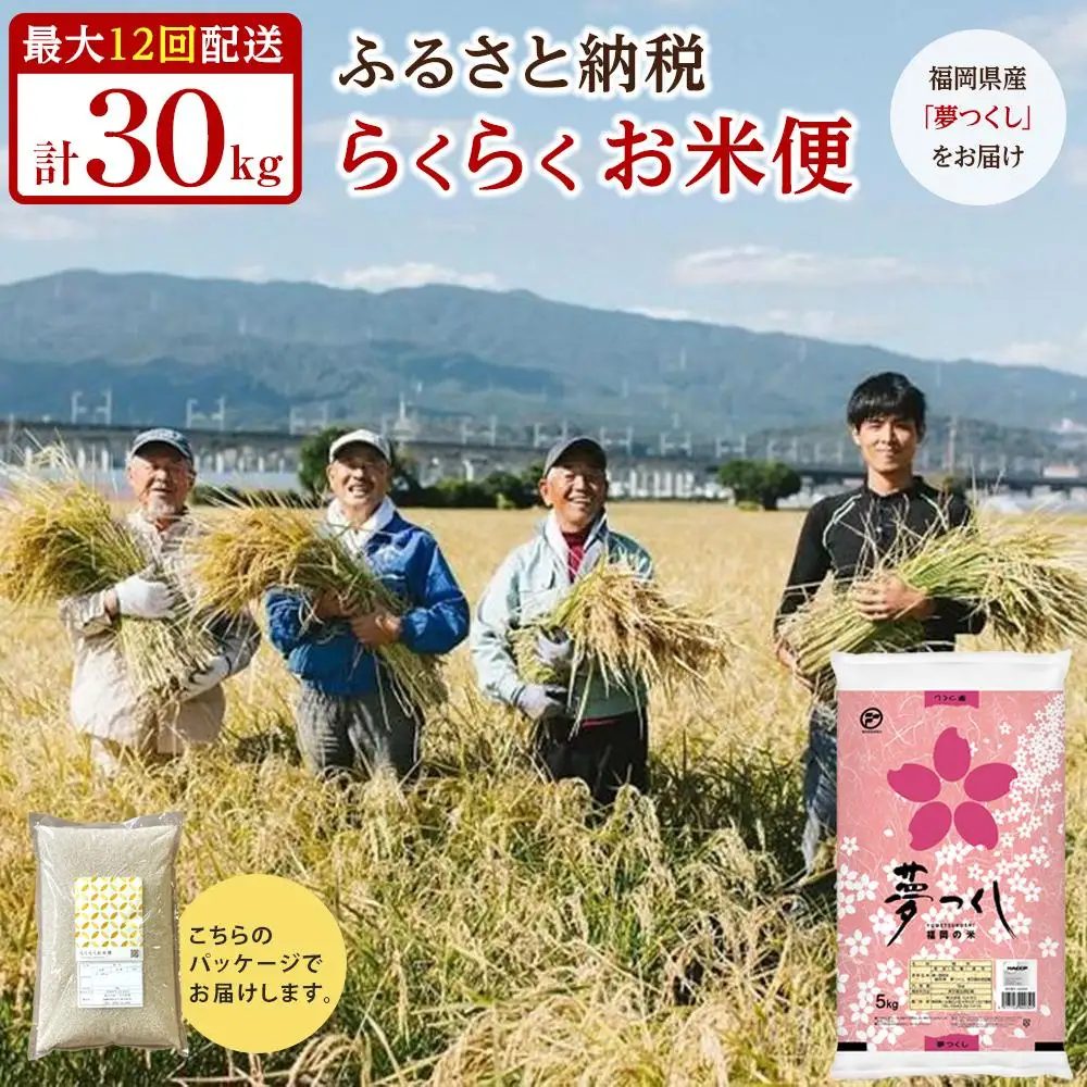 【福岡県産夢つくしをお届け】ふるさと納税 らくらくお米便 30kgコース