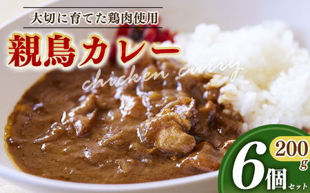 親鳥カレー 6個 セット 選べる 内容量 | 卵 たまご 玉子 タマゴ 生たまご 生卵 白鳳卵 朝食 お弁当 親鳥 カレー チキンカレー 奈良県 五條市