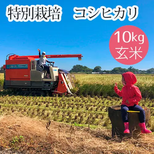 特別栽培 コシヒカリ 玄米10kg No.479