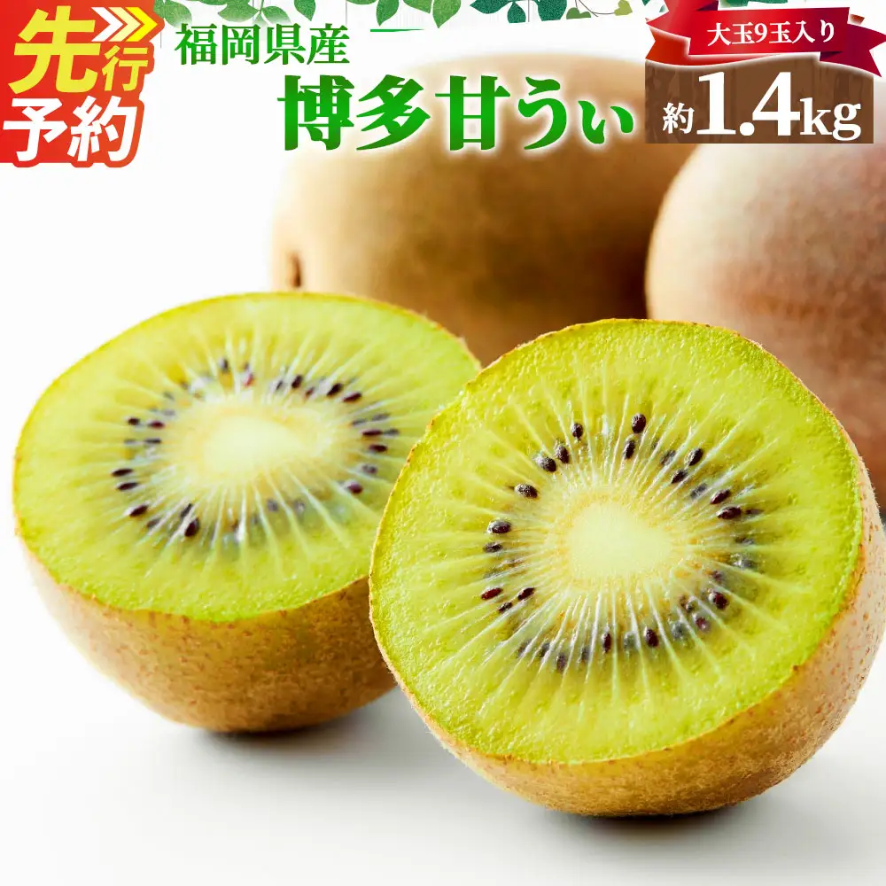 福岡県産 博多甘うぃ 約1.4kg（大玉9玉入り）キウイフルーツ キウイ 【2026年10月下旬～11月下旬発送予定】※北海道・沖縄・離島配送不可