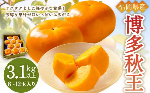 【優等品】福岡県産 博多秋王 約3.1kg以上(8玉～12玉入り) 果物 フルーツ 柿 かき 【2026年10月上旬～11月下旬発送予定】※北海道・沖縄・離島配送不可