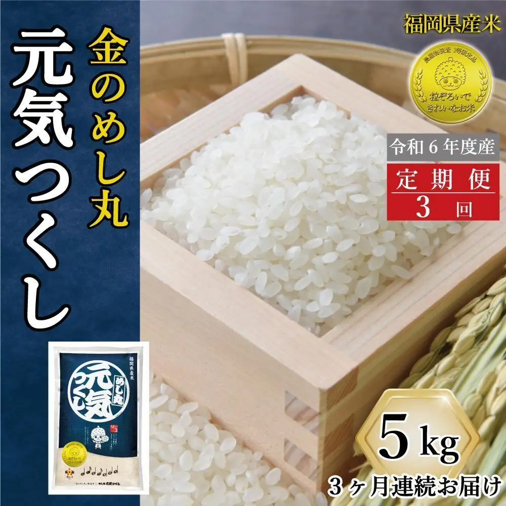 ＜全3回定期便＞令和7年米 福岡県産 米 金のめし丸元気つくし 5kg