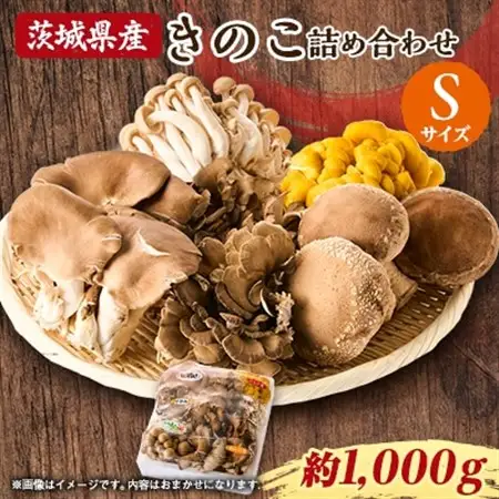茨城県城里町産 きのこの詰め合わせ Sサイズ 約1kg_野菜  きのこ _【配送不可地域：離島・沖縄県】【1593968】