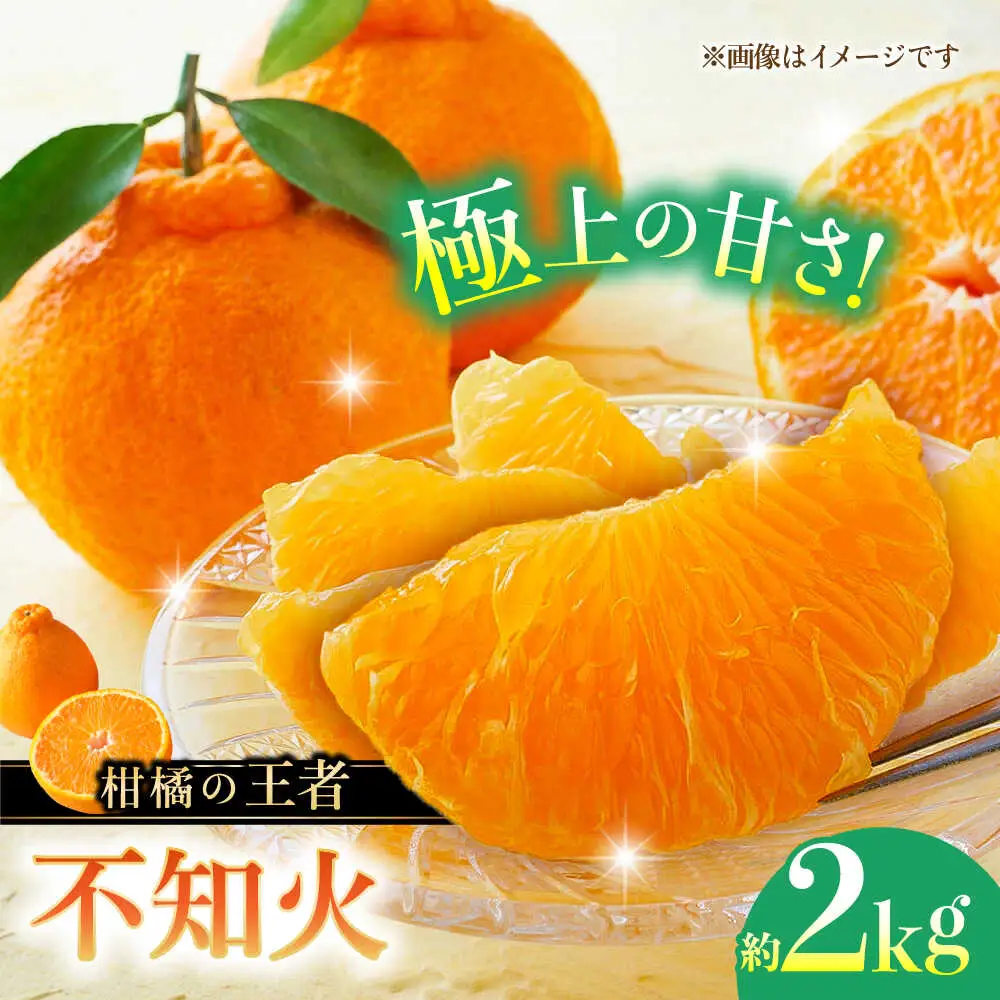 【先行予約】不知火 約2kg 柑橘 蜜柑 みかん フルーツ【日本フルーツ株式会社】　 [ZFJ001]