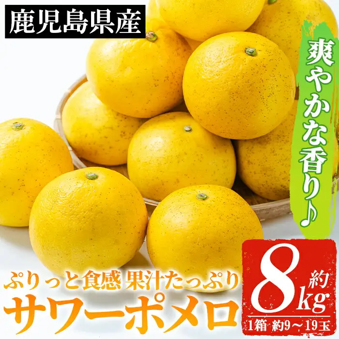 ＜期間限定・数量限定＞3月頃発送開始 サワーポメロ 8kg箱 大橘 文旦【01-039-07】