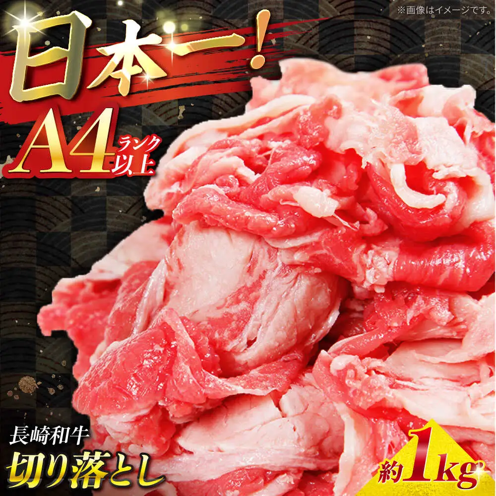 【A4ランク以上】長崎和牛 切り落とし 1kg / 和牛 国産 牛肉 にく きりおとし 真空 / 南島原市 / ミカド観光センター[SEC010]