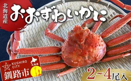 (茹でたて!!未冷凍!!)(訳あり)北海道産・おおずわいかに(茹でたて・未冷凍) 2～4尾入 カニ ズワイガニ 蟹 楚蟹 ずわいガニ ずわい蟹 冷蔵 ボイル 海産物 F4F-8030