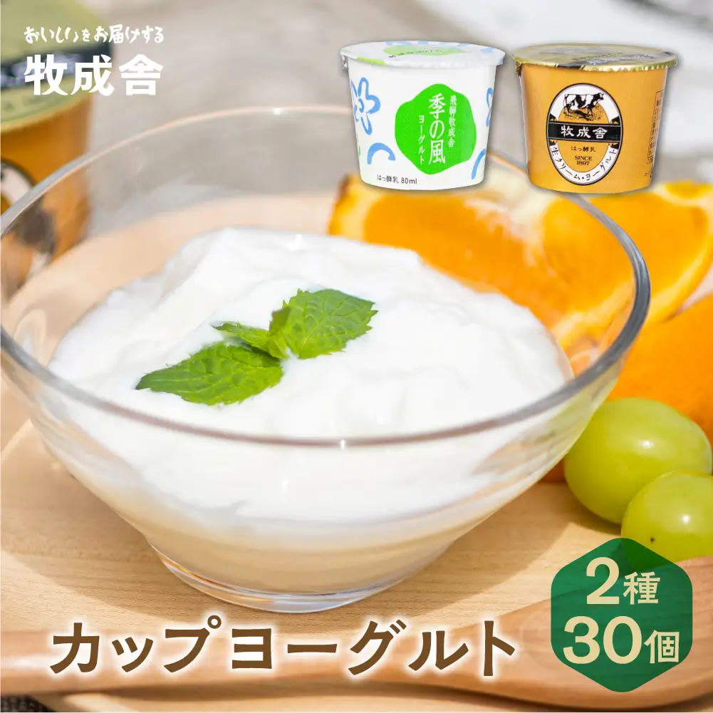 【寄附額見直しました！】＜牧成舎＞ 飛騨の牛乳屋のこだわりヨーグルト (30個セット)  ヨーグルト DF012VC13