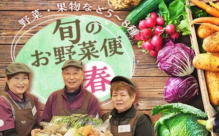  鏡石のうまいもの野菜の直送便（春）果物 詰め合わせ つめ合わせ セット 福島県 鏡石町  F6Q-133