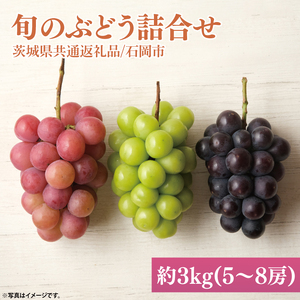 【2026年9月初旬より順次発送】【数量限定】旬のぶどう詰合せ 色とりどり 約3kg(5～8房) 【茨城県共通返礼品/石岡市】（MH-3）