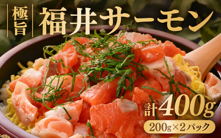 極旨！福井サーモン 計400g（200g × 2パック）【サーモン 鮭 刺身 さけ サケ さかな 魚 人気 海鮮 海鮮食品 小分け お刺身用 生食用 生食可 低脂肪 低カロリー ヘルシー 冷凍 国産】 [A-5830]