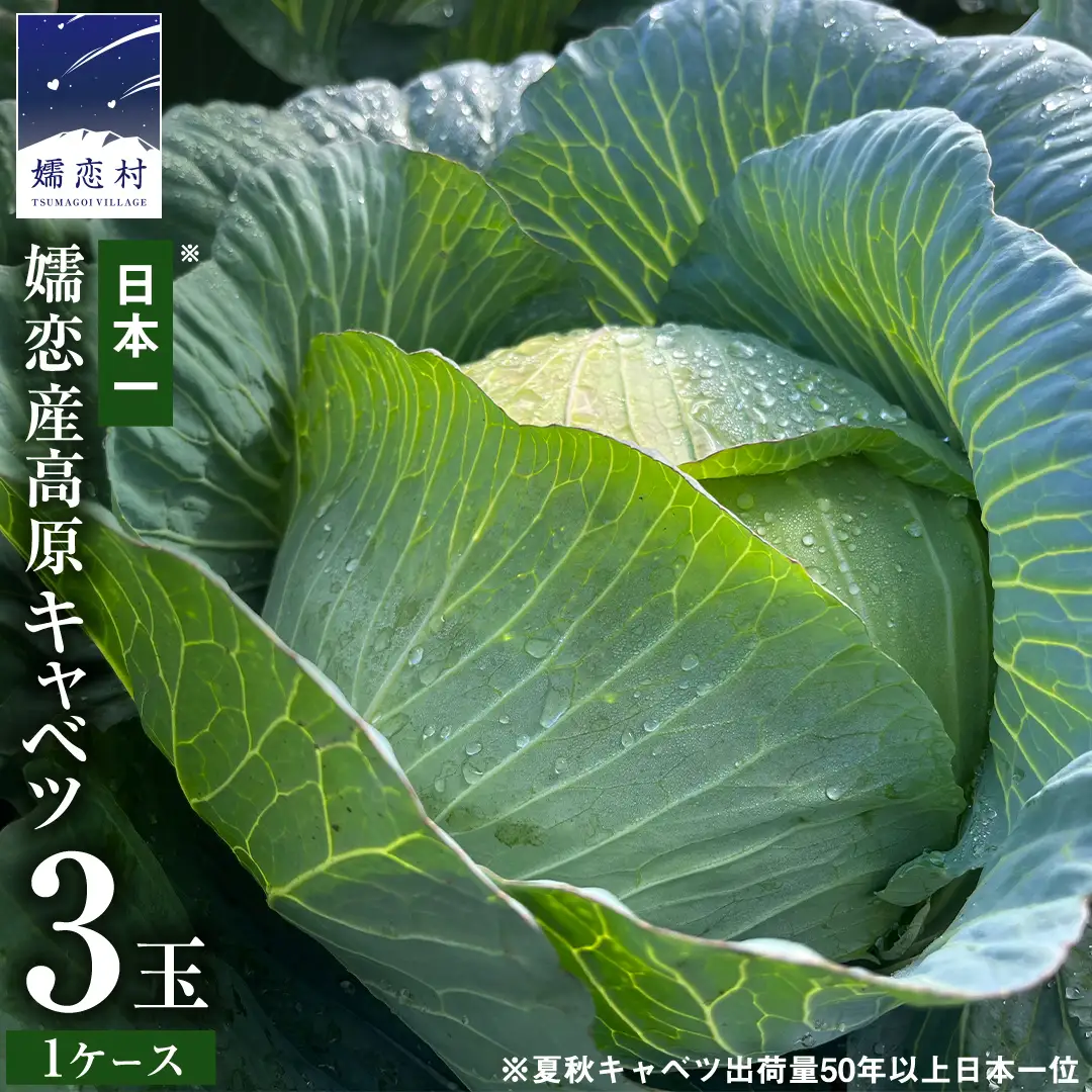 ＜レビューキャンペーン開催中＞【7月中旬発送開始】 嬬恋キャベツ 嬬恋産 高原キャベツ3玉1ケース [AS010tu]