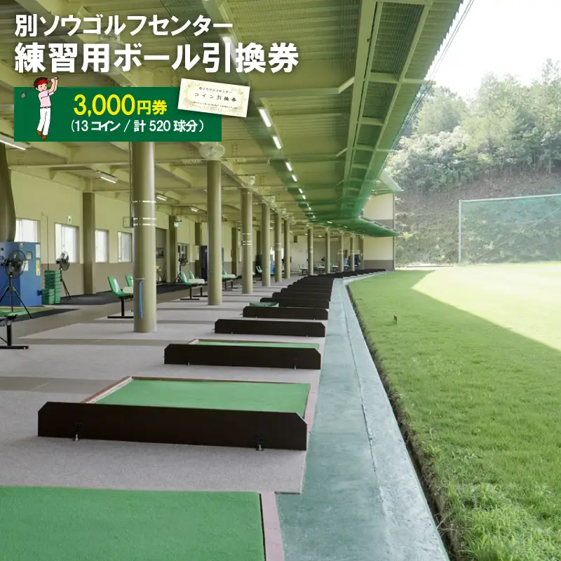 別ソウゴルフセンター練習用ボール引換券3,000円券(13コイン・計520球分）