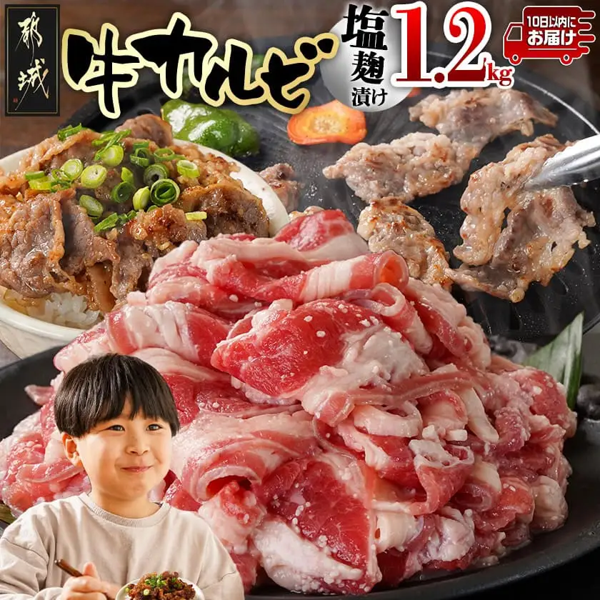 牛カルビ 塩麹タレ漬け1.2kg≪みやこんじょ特急便≫〔33-022-1200g-Q〕_(都城市)  味付き牛カルビ 300gパック 真空 小分け 1200g