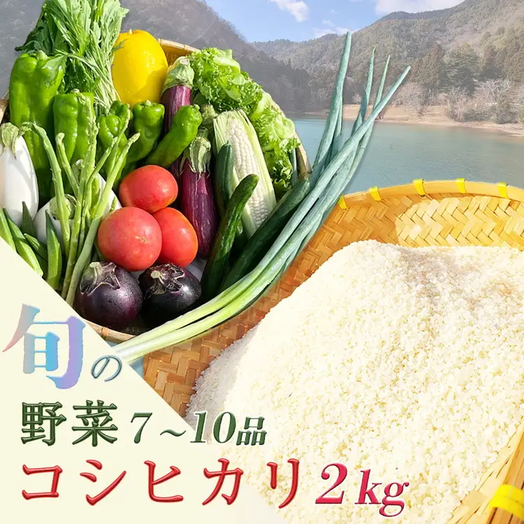 【12回定期便】野菜セット＋コシヒカリ2kg 米 野菜 米
