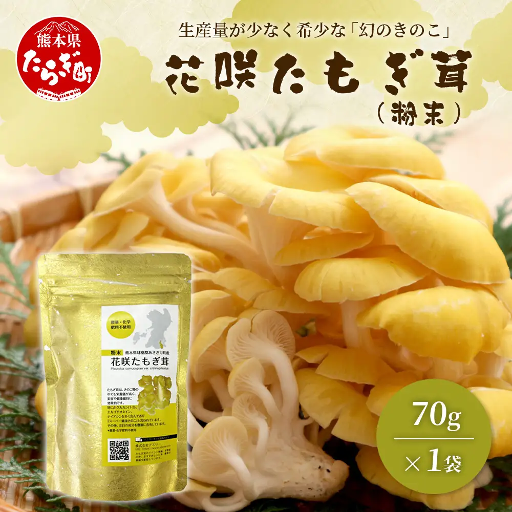 無農薬栽培【花咲 たもぎ茸 (粉末) 70g 】幻 キノコ タモギダケ ヒラタケ 健康 栄養豊富 出汁 だし エルゴチオネイン タモギ茸 たもぎだけ 115-0607
