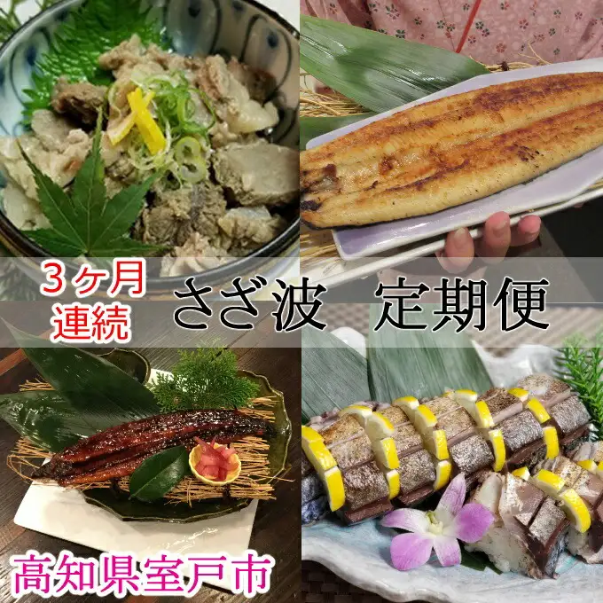 室戸の定期便【３回連続お届け】 頒布会