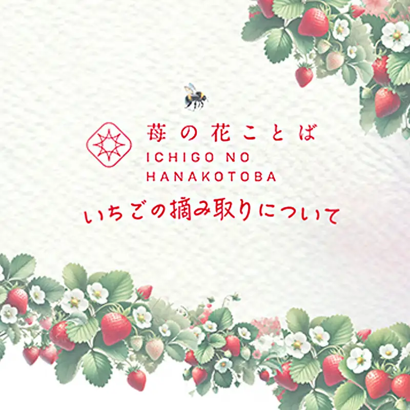 いちご摘み取り体験券 3kgまで お土産付き いちご