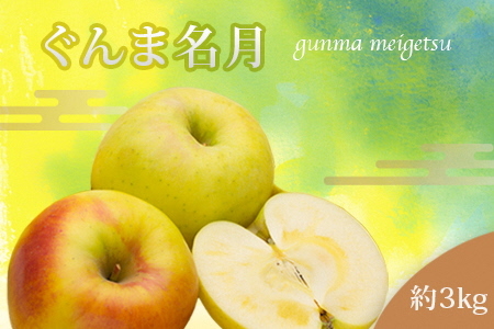 【2026年発送】山形のりんご（ぐんま名月）約3kg_H209(R8)