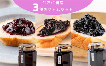 やまに農産　山里の恵みジャム３本（カシス・ブルーベリー・ハックルベリー）