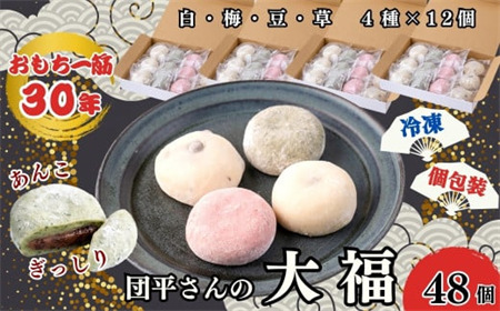 「団平大福」48個（白、草、梅、豆）