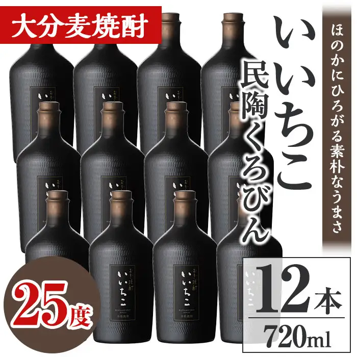 いいちこ民陶くろびん 25度(720ml×12本)酒 お酒 むぎ焼酎 720ml 麦焼酎 いいちこ アルコール 飲料 常温【106105600】【酒のひろた】
