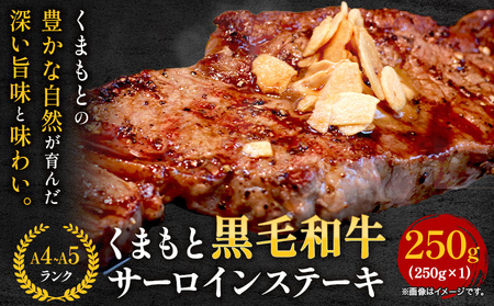 くまもと黒毛和牛 サーロインステーキ  250g 黒毛和牛