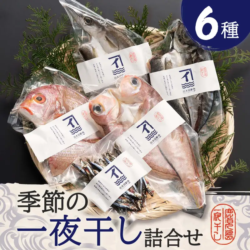 季節の 一夜干し 詰合せ （6種） K294-001 魚 冷凍
