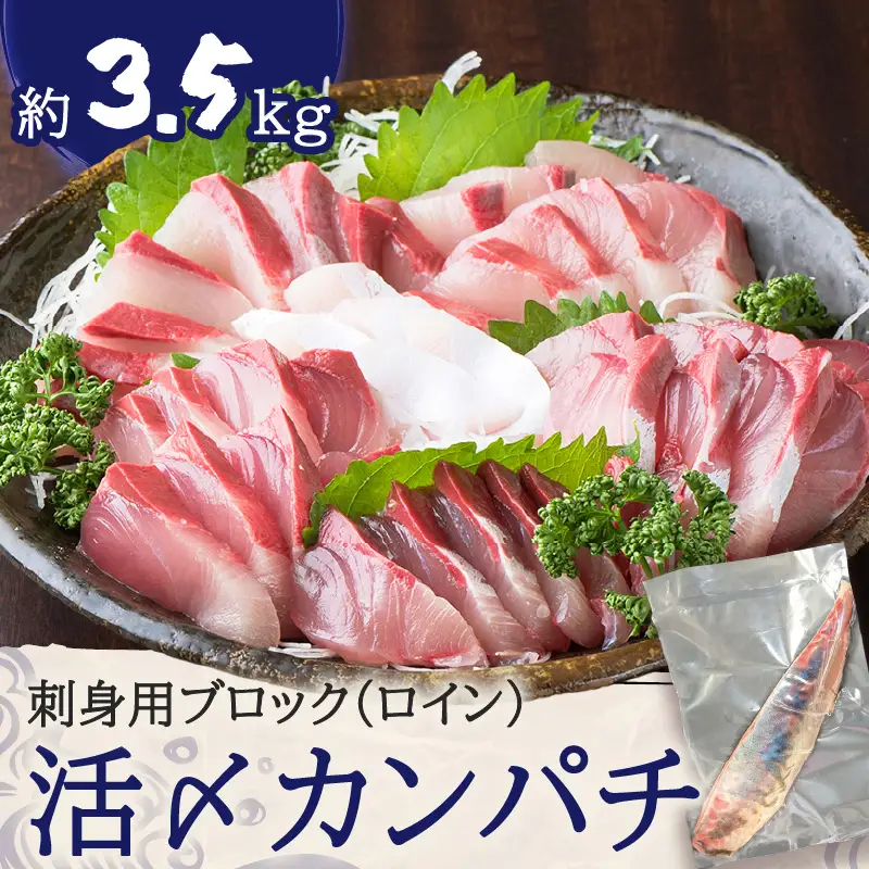 鹿児島県産 カンパチ 約3.5kg 刺身用 ブロック（ ロイン ） 活〆 ※ 真空包装 K294-003_03 魚