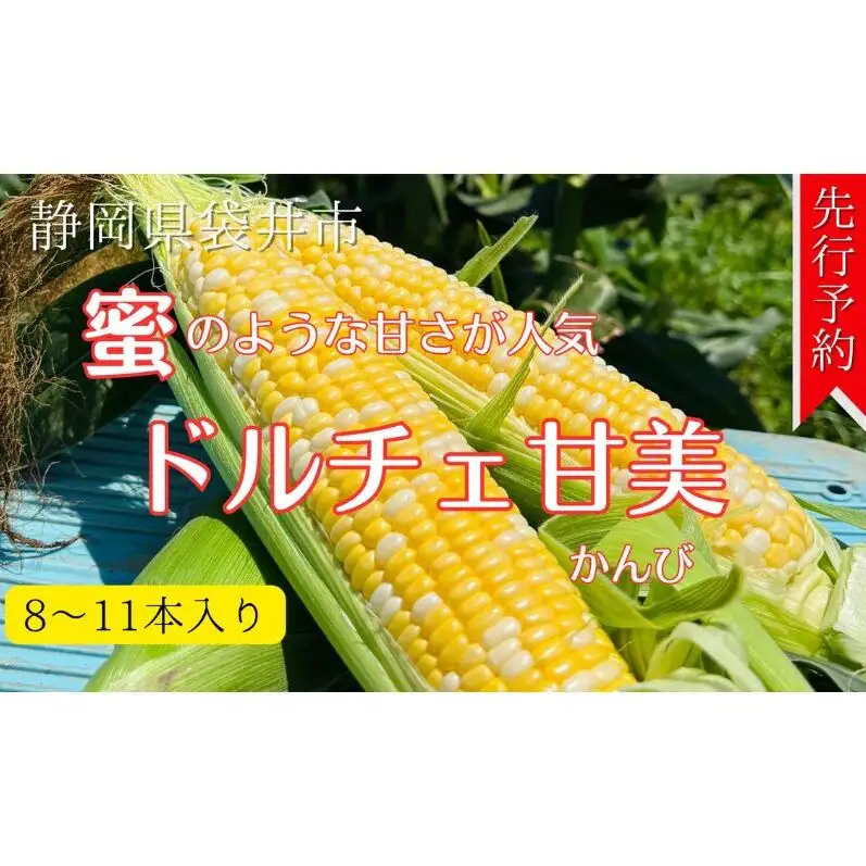 とうもろこし 先行予約 ドルチェ甘美 約5kg 朝採り とうもろこし