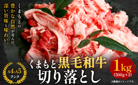 くまもと黒毛和牛 切り落とし 1kg 黒毛和牛