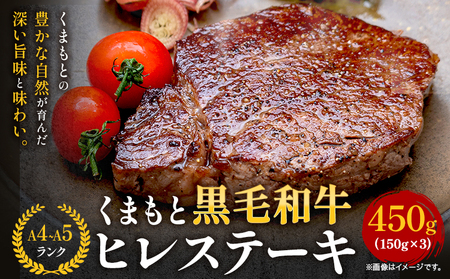 くまもと黒毛和牛 ヒレステーキ 450g 黒毛和牛