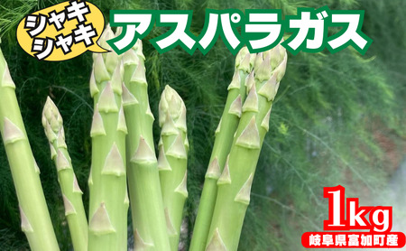 【15049】アスパラガス 1kg