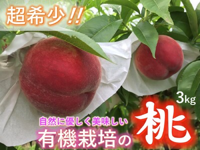 ＜2026年発送先行予約＞【有機栽培の美味しい桃約3kg 8月発送】自然に優しく希少でジューシーな天然桃(8～11個入)！ ALPEF016