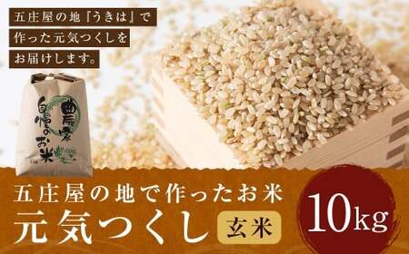 【特Aランク米】五庄屋の地で作ったお米 元気つくし 玄米 (10kg) 【2025年10月上旬より順次発送予定】 こめ コメ ごはん ご飯 福岡県うきは市産 九州産