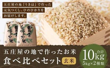 【特Aランク米】五庄屋の地で作ったお米 食べ比べセット 玄米 (元気つくし 5kg・ひのひかり 5kg) 計10kg 【2025年10月下旬より順次発送予定】 ヒノヒカリ こめ コメ ごはん ご飯 福岡県うきは市産 九州産