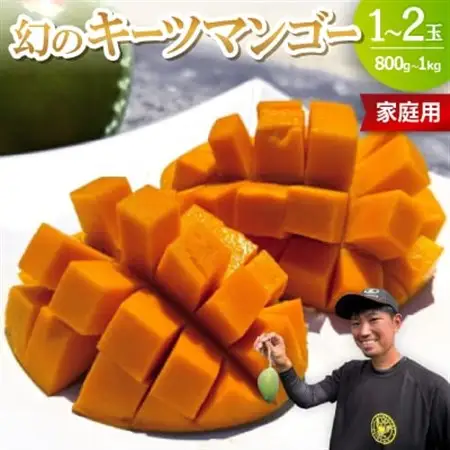 【2026年8月下旬から順次発送・家庭用】みなとばる農園の幻のキーツマンゴー800g～1.0kg【配送不可地域：離島】【1592999】